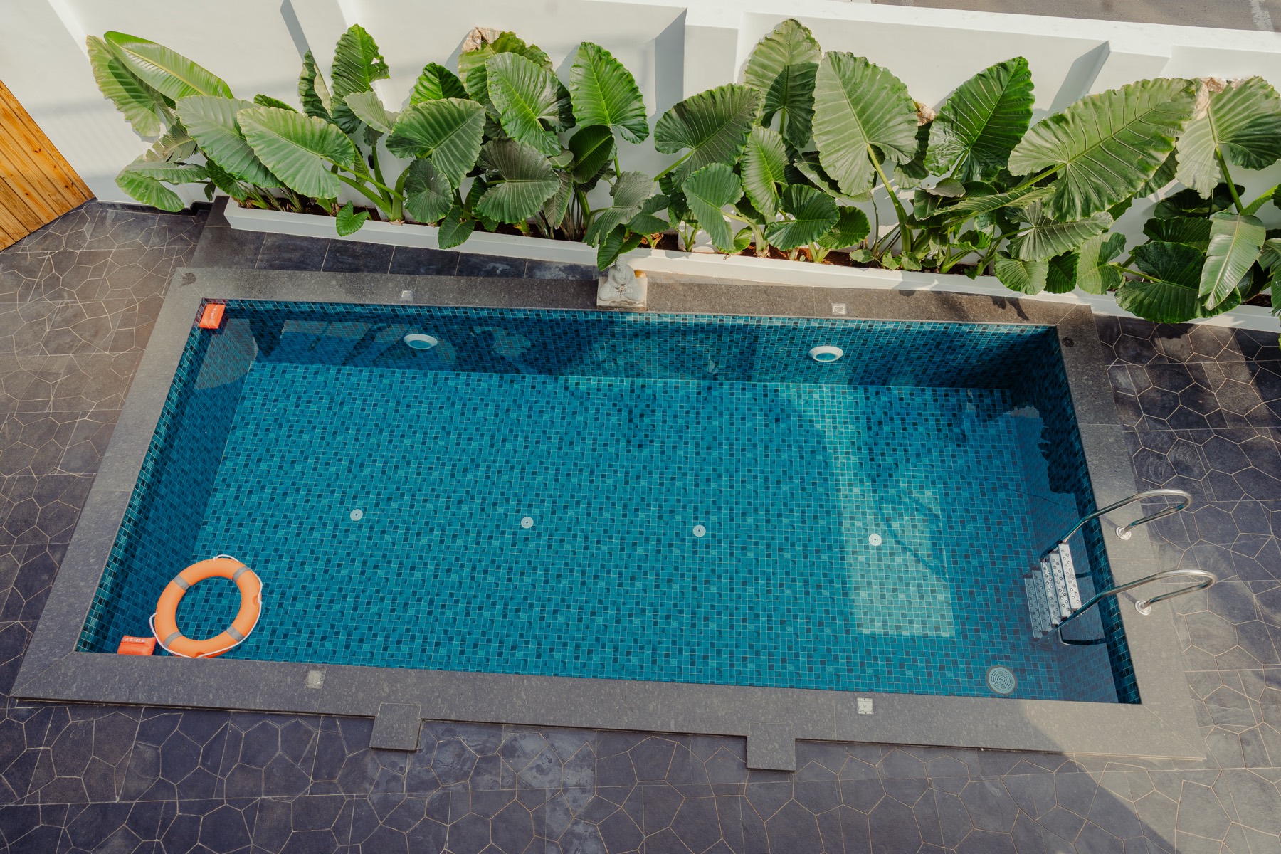 Private pool framed by palms